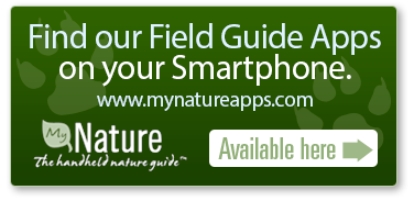 Field Guide Apps button
